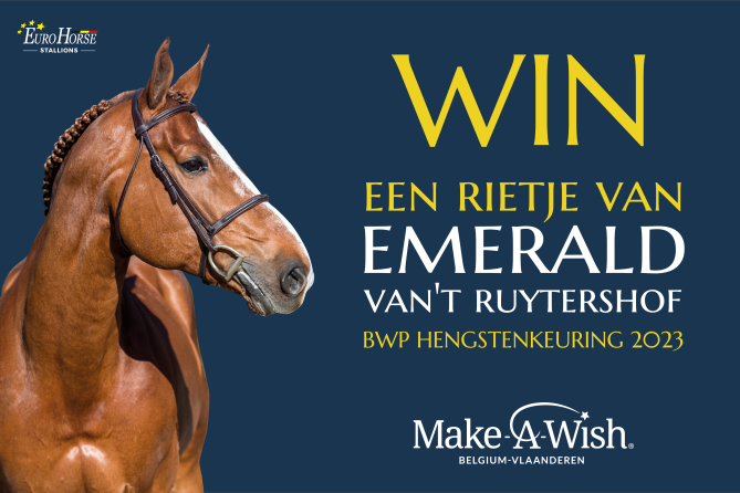 Win a straw from Emerald van't Ruytershof